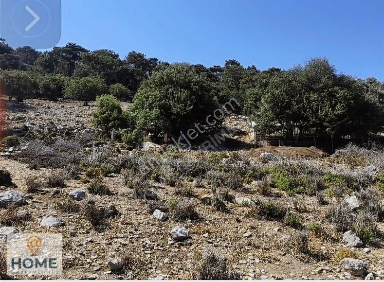 Home Gayrimenkul Den Fırsat Fethiye Seydikemer De 3797m2 Tarla - Görsel 25