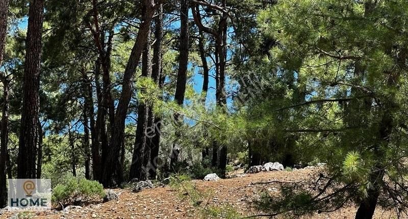 Home Gayrimenkul Den Fırsat Fethiye Seydikemer De 3797m2 Tarla - Görsel 3