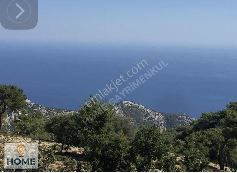 Home Gayrimenkul Den Fırsat Fethiye Seydikemer De 3797m2 Tarla - Görsel 15