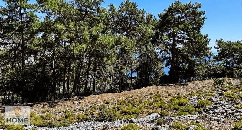 Home Gayrimenkul Den Fırsat Fethiye Seydikemer De 3797m2 Tarla - Görsel 35