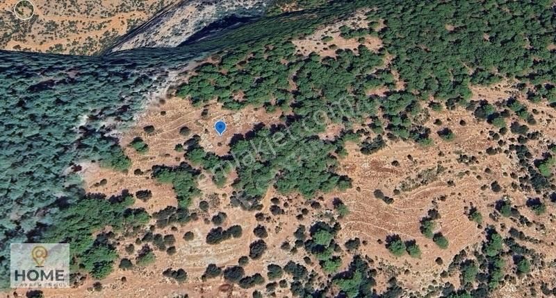 Home Gayrimenkul Den Fırsat Fethiye Seydikemer De 3797m2 Tarla - Görsel 8