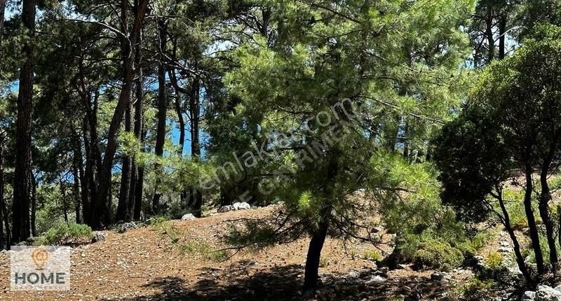 Home Gayrimenkul Den Fırsat Fethiye Seydikemer De 3797m2 Tarla - Görsel 18
