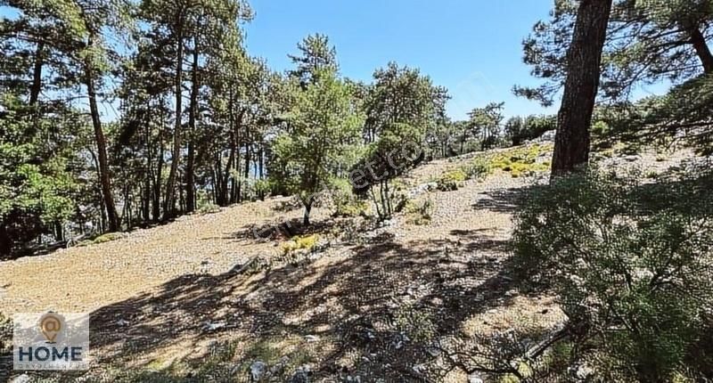 Home Gayrimenkul Den Fırsat Fethiye Seydikemer De 3797m2 Tarla - Görsel 24
