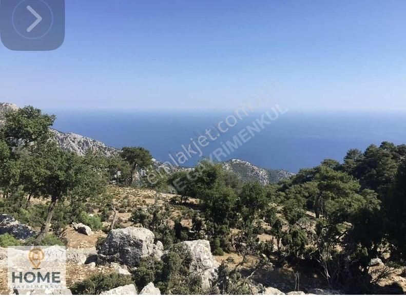 Home Gayrimenkul Den Fırsat Fethiye Seydikemer De 3797m2 Tarla - Görsel 11