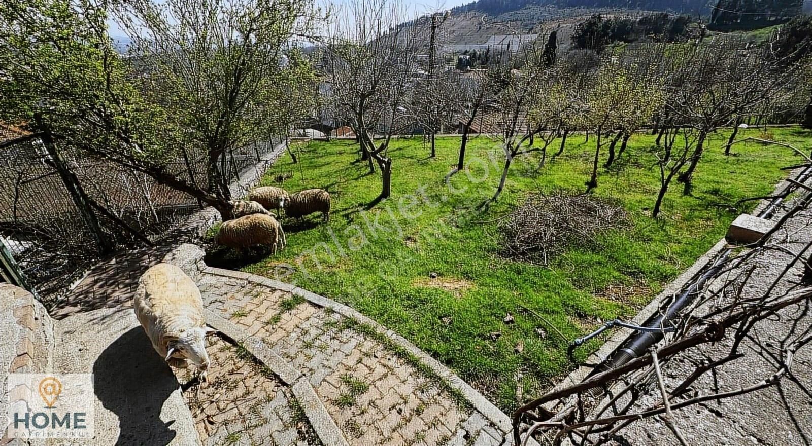 Home Gayrimenkulden Baraj Manzaralı 2936m2 İmarlı Arsa - Görsel 3