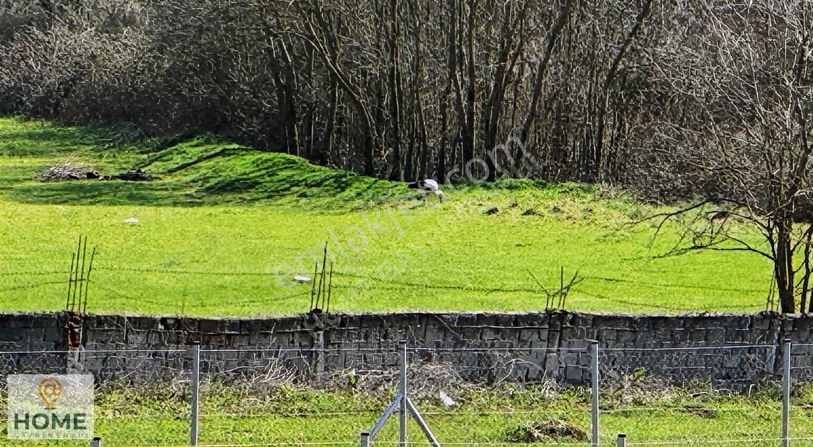 Home Gayrimenkulden Pendik Emirlide Fırsat Satılık 3600m2 Tarla - Görsel 2