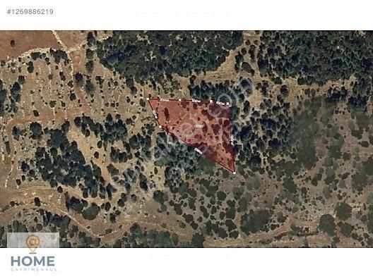 Home Gayrimenkulden Mugla Seydikemer De 2.976m2 Satılık - Görsel 2