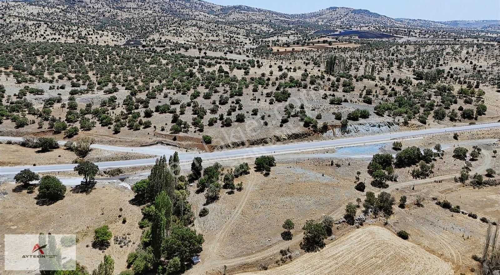 Güneysınır Örenboyalı Mahallesinde 2.049m² Müstakil Tapulu Bahçe - Görsel 26
