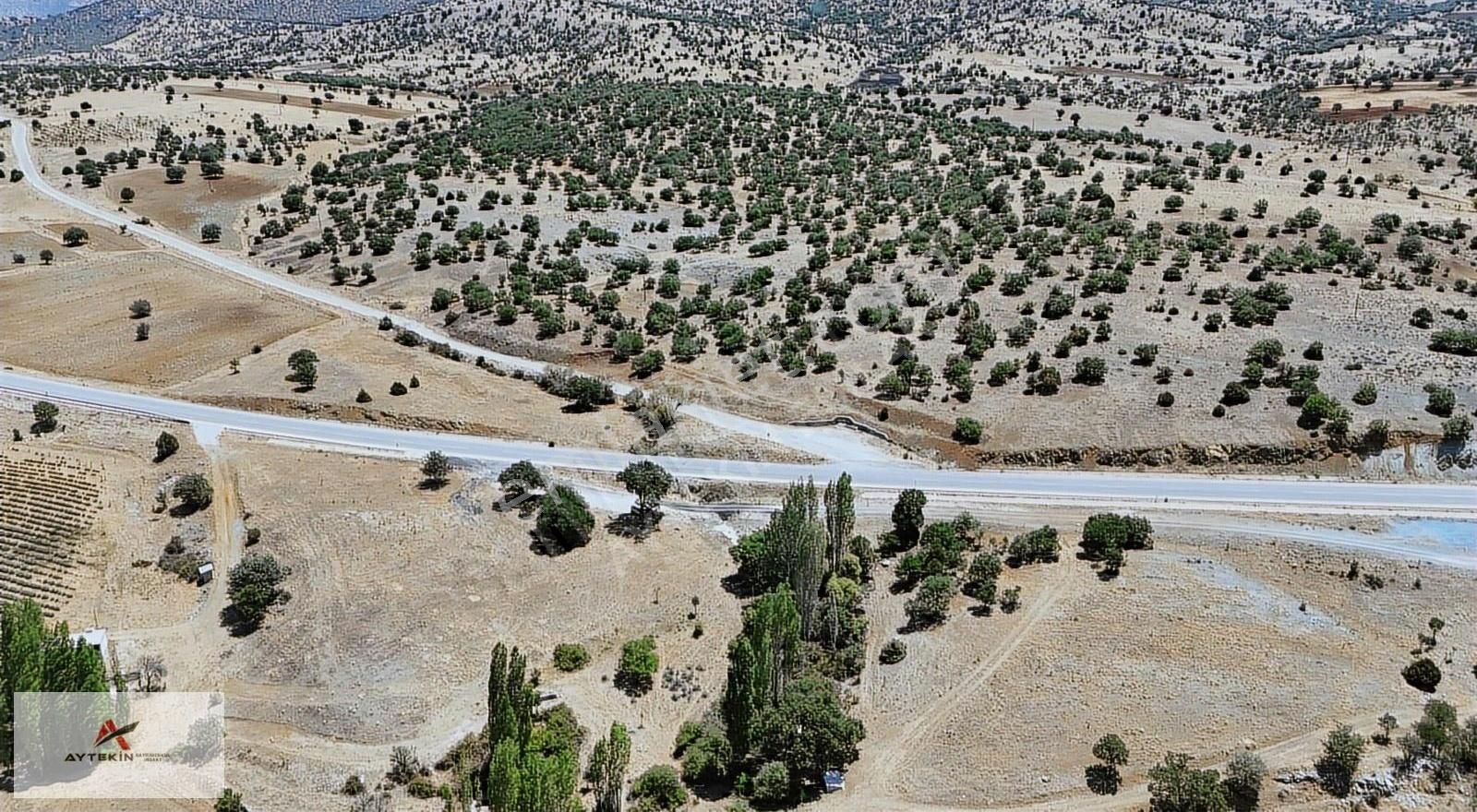Güneysınır Örenboyalı Mahallesinde 2.049m² Müstakil Tapulu Bahçe - Görsel 8