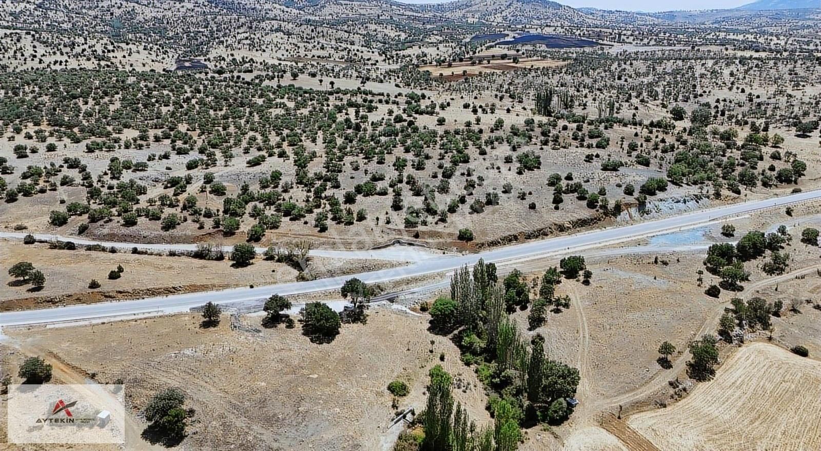 Güneysınır Örenboyalı Mahallesinde 2.049m² Müstakil Tapulu Bahçe