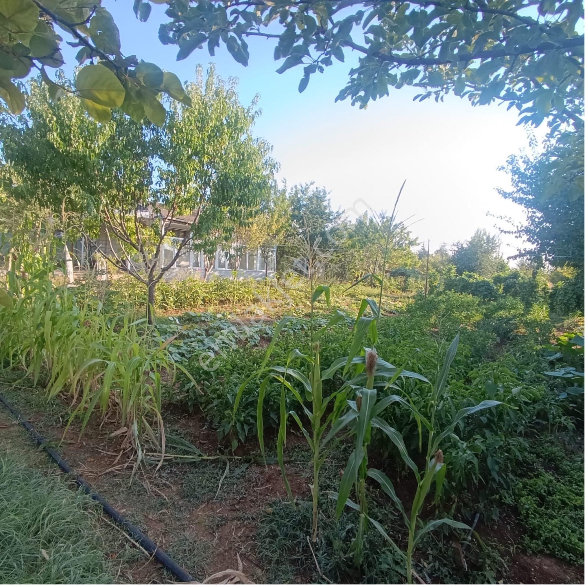 Aydıncıkta*destan Market Yakını*yapı Kayıt Belgeli Su Kuyulu 1 Dönüm Bahçe - Görsel 4