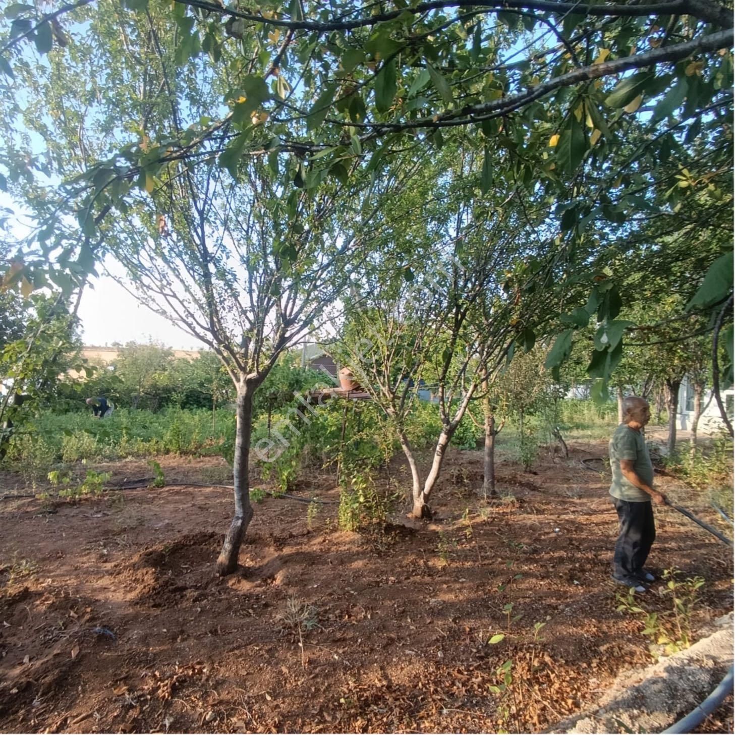 Aydıncıkta*destan Market Yakını*yapı Kayıt Belgeli Su Kuyulu 1 Dönüm Bahçe - Görsel 7