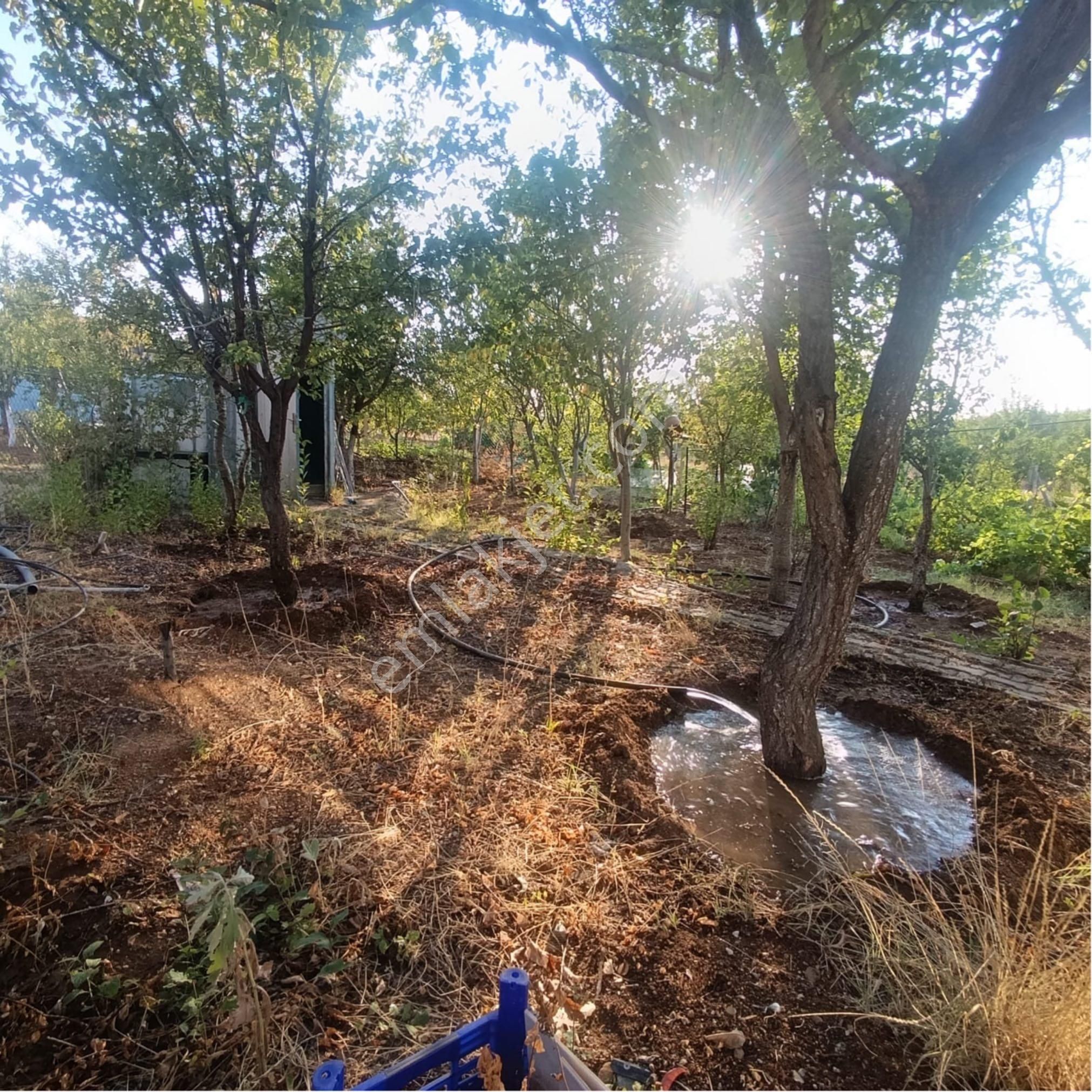 Aydıncıkta*destan Market Yakını*yapı Kayıt Belgeli Su Kuyulu 1 Dönüm Bahçe - Görsel 6