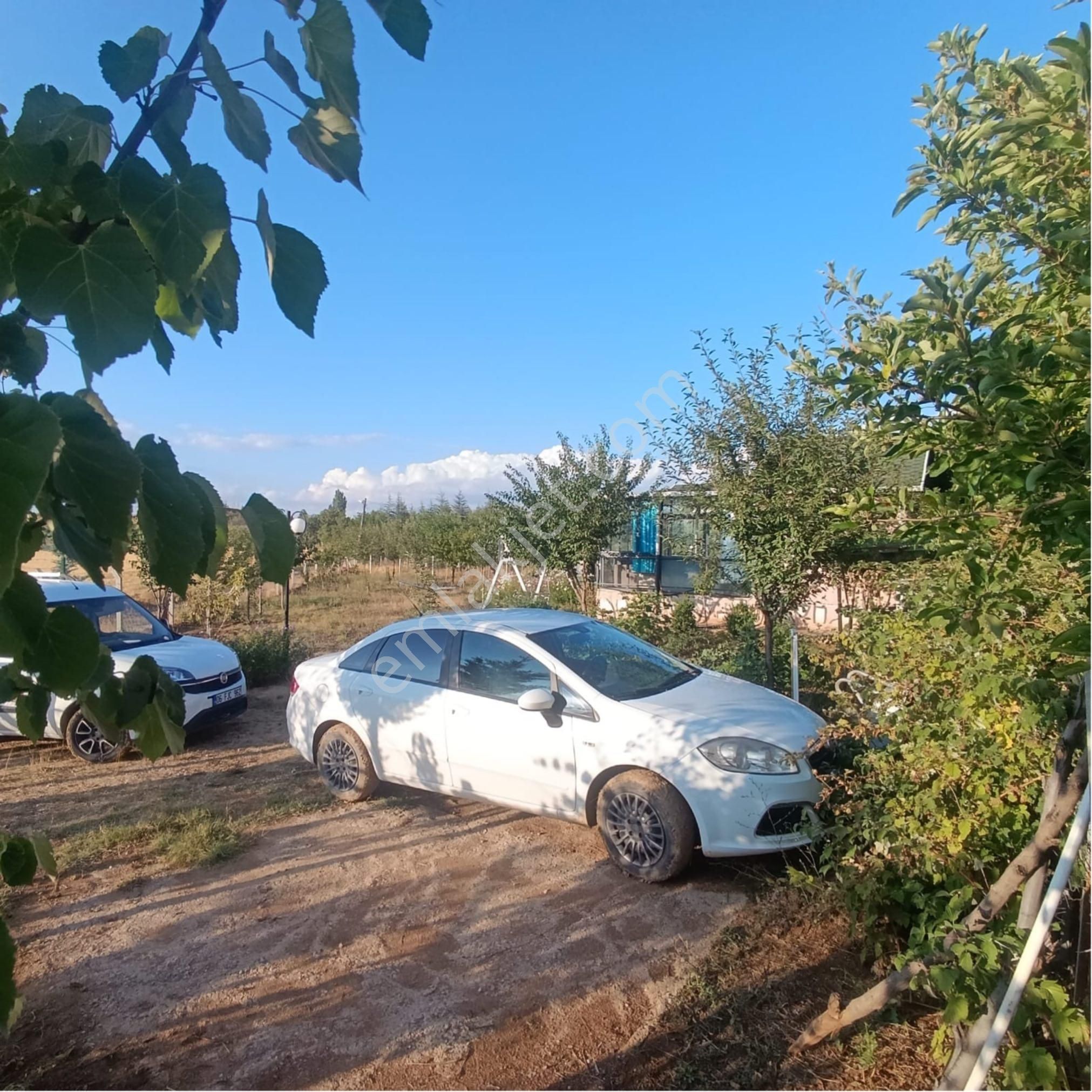 Aydıncıkta*destan Market Yakını*yapı Kayıt Belgeli Su Kuyulu 1 Dönüm Bahçe - Görsel 9