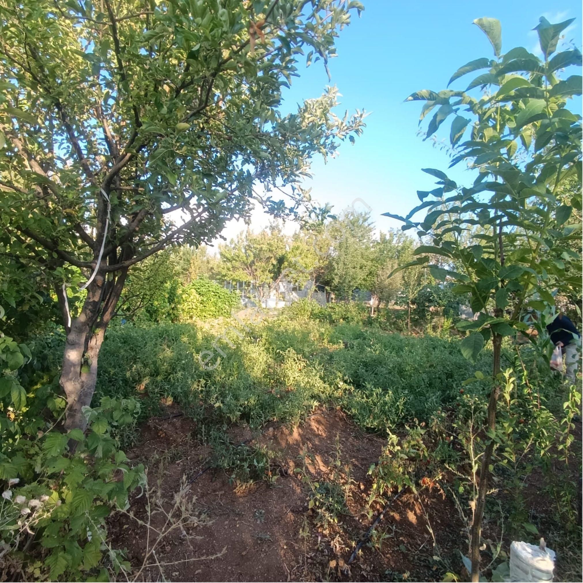 Aydıncıkta*destan Market Yakını*yapı Kayıt Belgeli Su Kuyulu 1 Dönüm Bahçe - Görsel 11