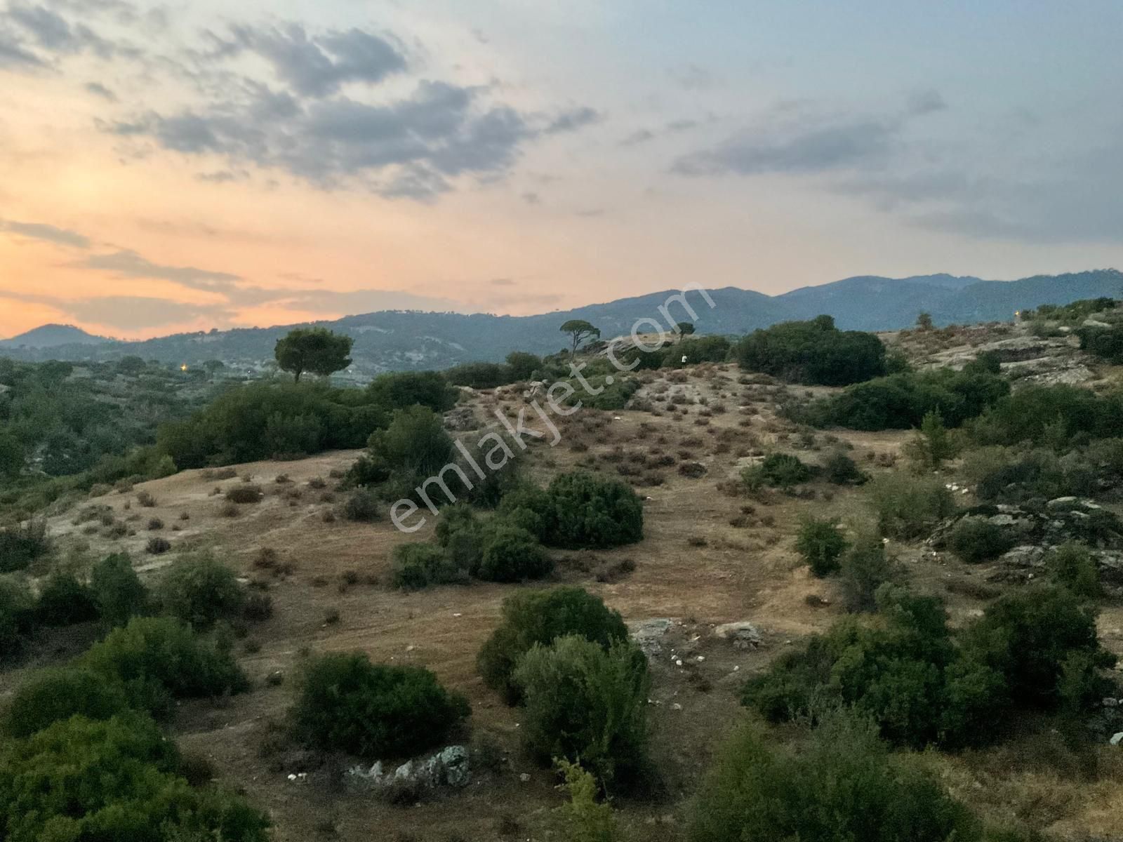 Aydın Çine De 16.555 M2 Lik Yatırımlık Tarla - Görsel 13