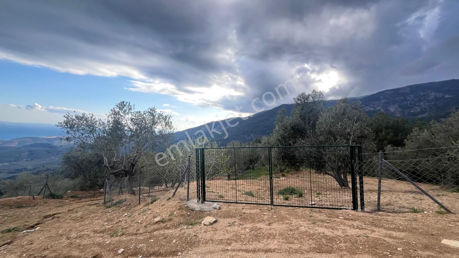 Başaran Emlak'tan Muhteşem Doğa Ve Deniz Manzaralı Zeytin Arazisi - Görsel 21
