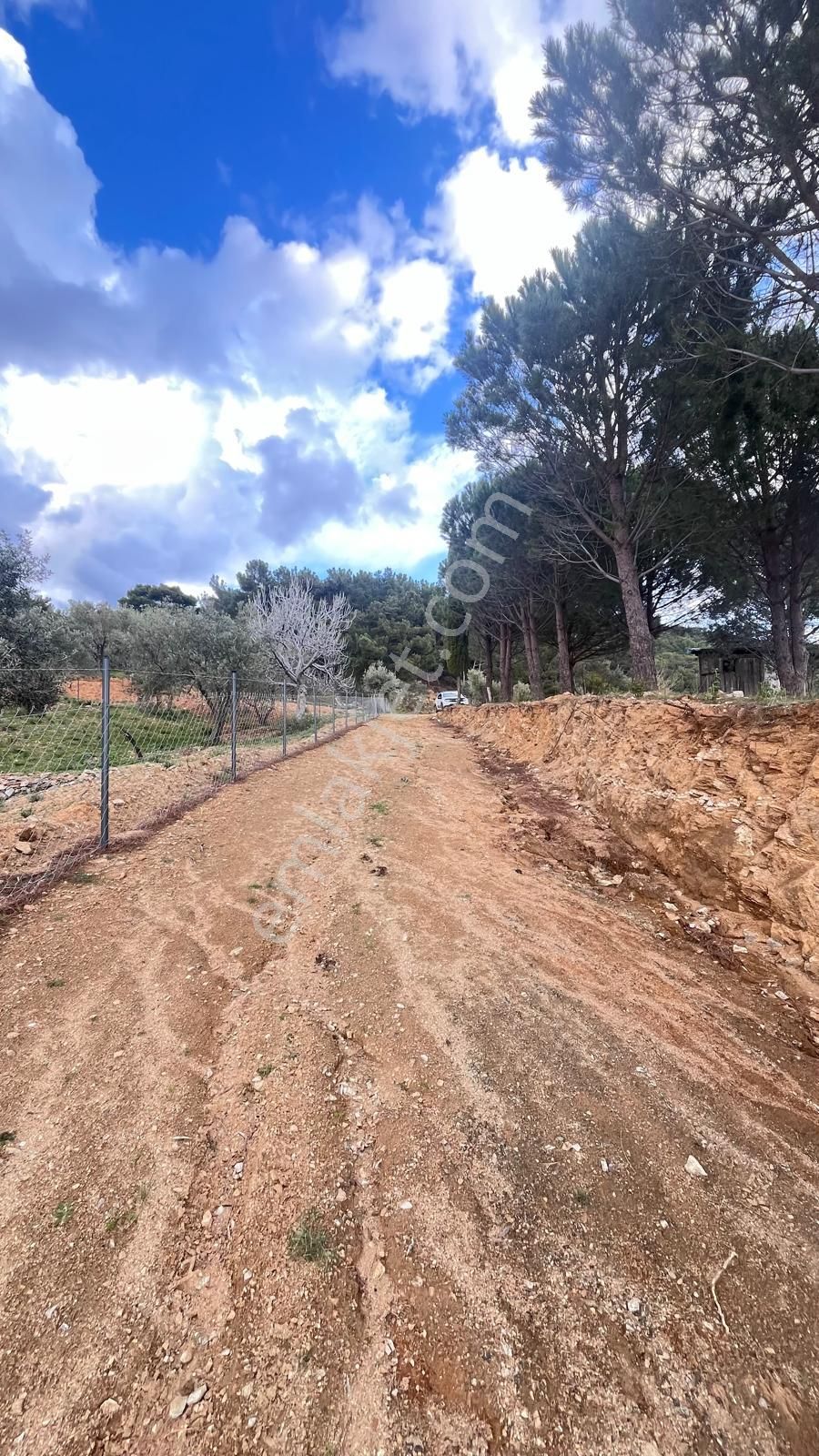 Başaran Emlak'tan Muhteşem Doğa Ve Deniz Manzaralı Zeytin Arazisi - Görsel 22