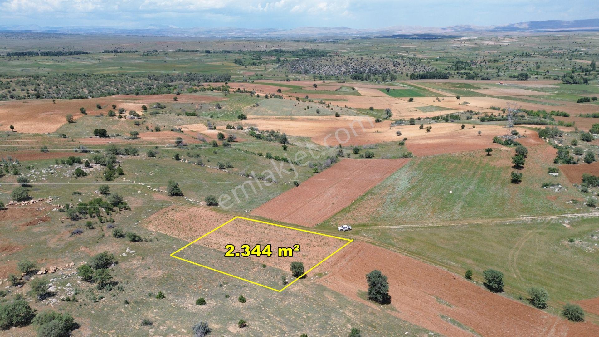 Akören Tülce De 2.344 M2 Müstakil Tapulu Tarla - Görsel 3