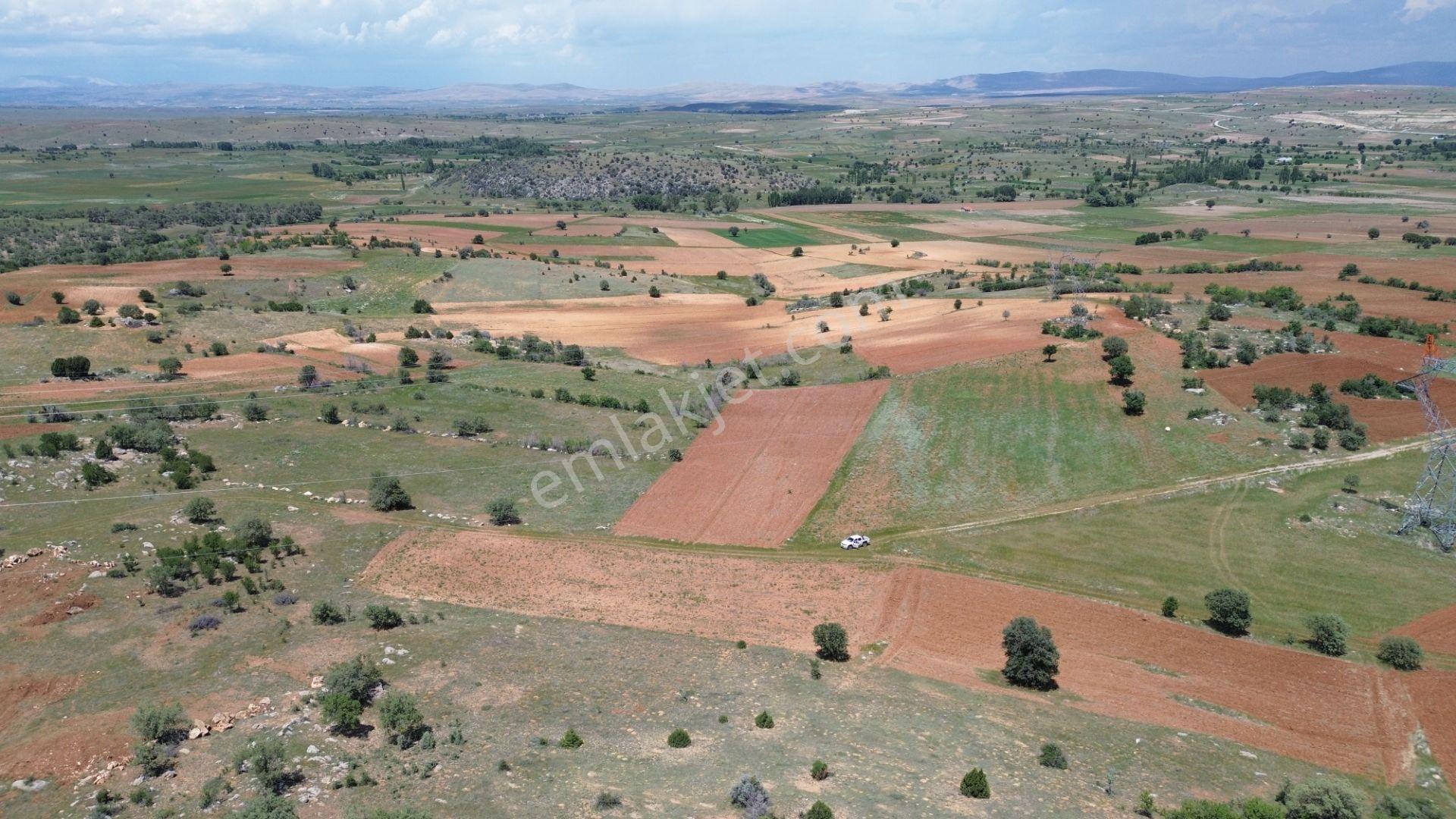 Akören Tülce De 2.344 M2 Müstakil Tapulu Tarla - Görsel 8