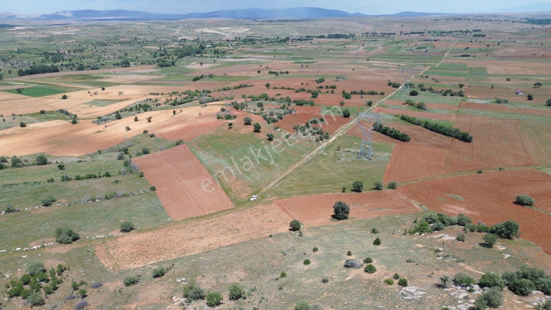 Akören Tülce De 2.344 M2 Müstakil Tapulu Tarla - Görsel 10