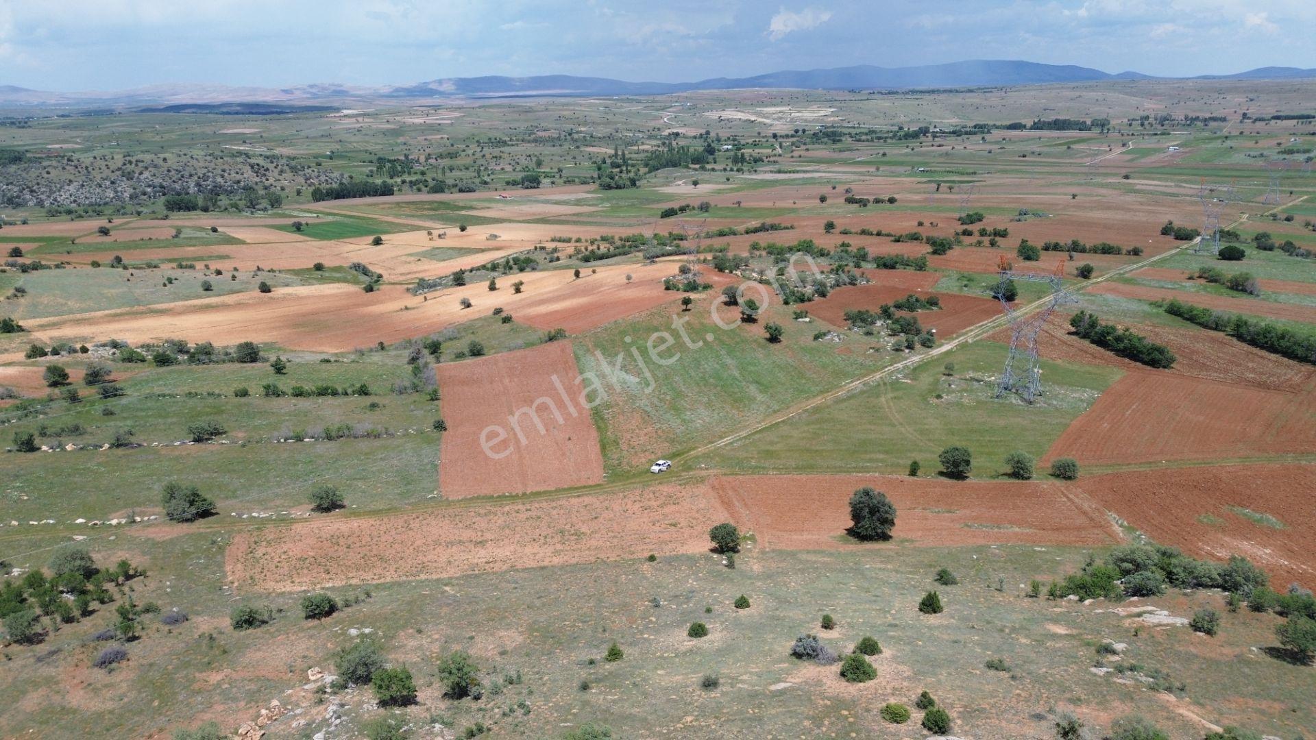 Akören Tülce De 2.344 M2 Müstakil Tapulu Tarla - Görsel 9