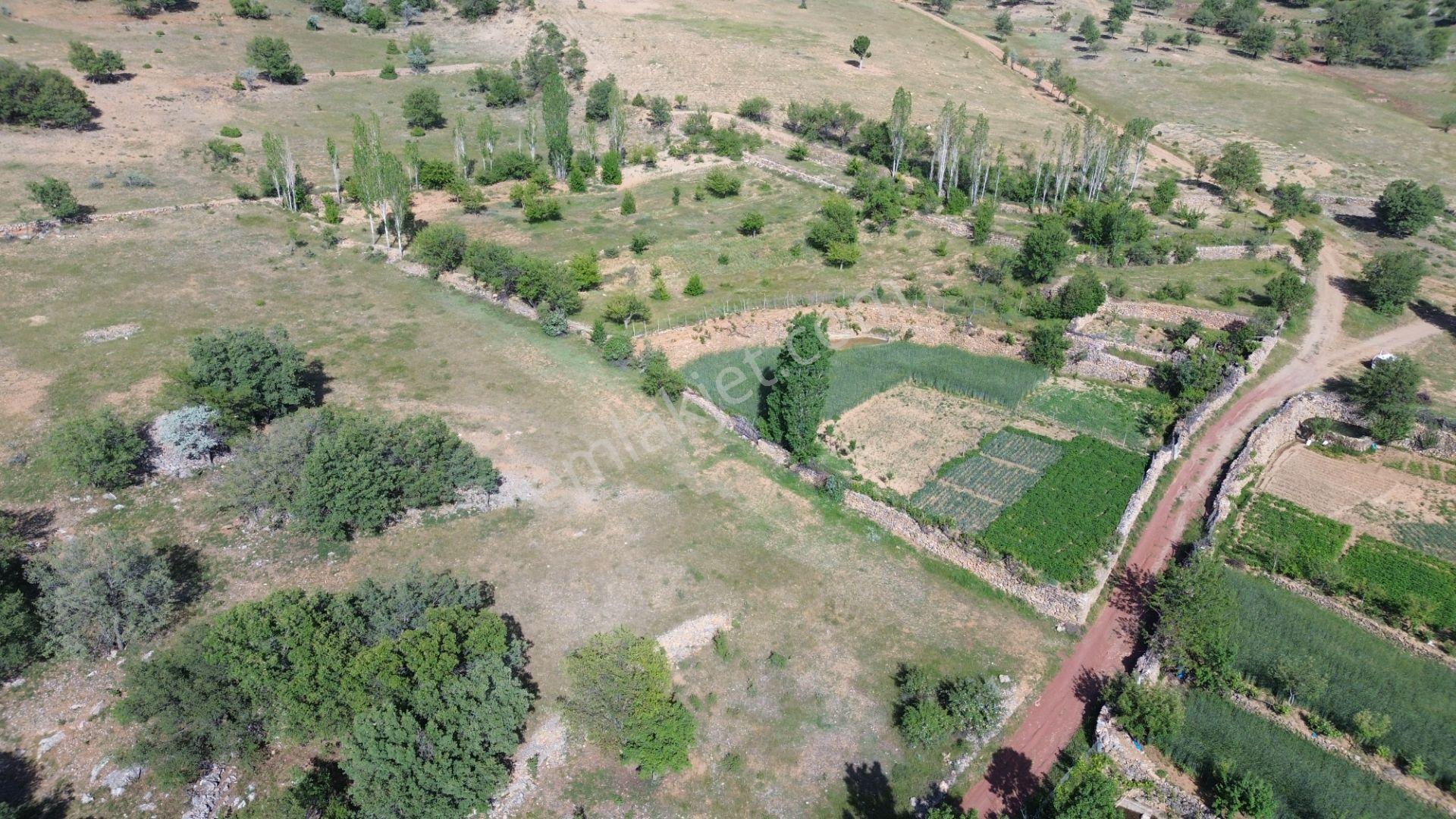 Bozkır Hacılar Da 323 M2 Müstakil Tapulu Bahçe - Görsel 10