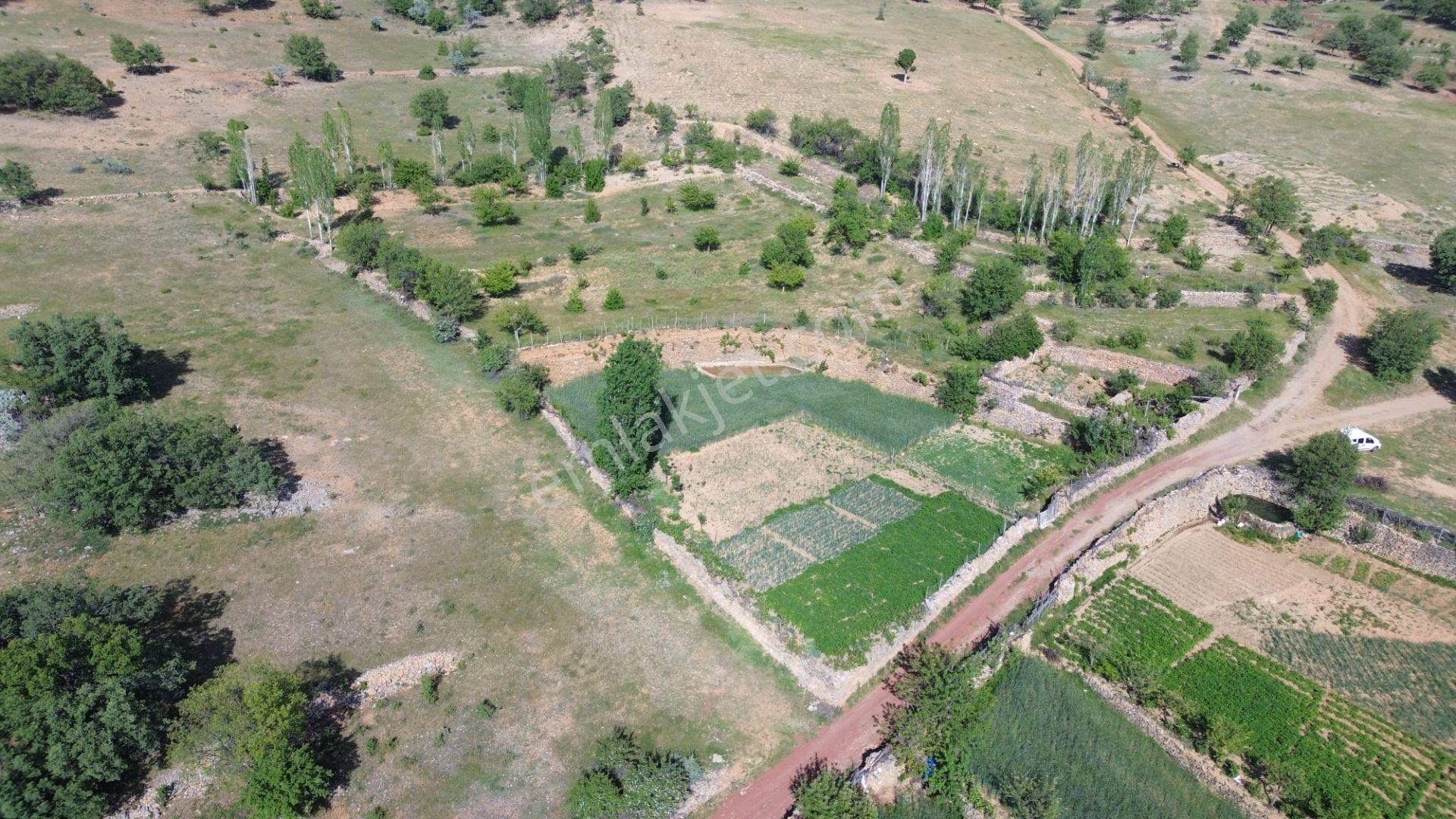 Bozkır Hacılar Da 323 M2 Müstakil Tapulu Bahçe - Görsel 9