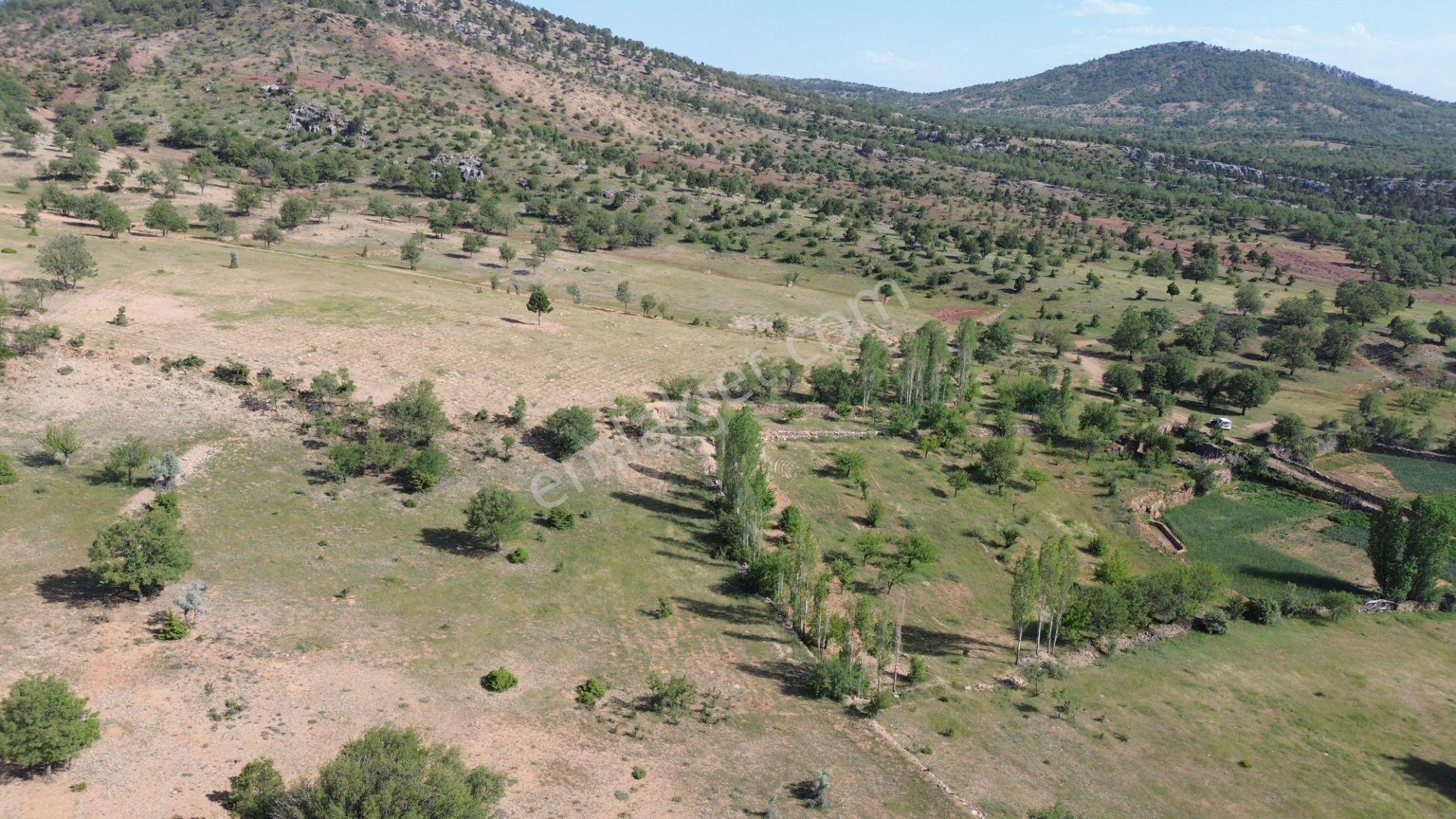 Bozkır Hacılar Da 323 M2 Müstakil Tapulu Bahçe - Görsel 17