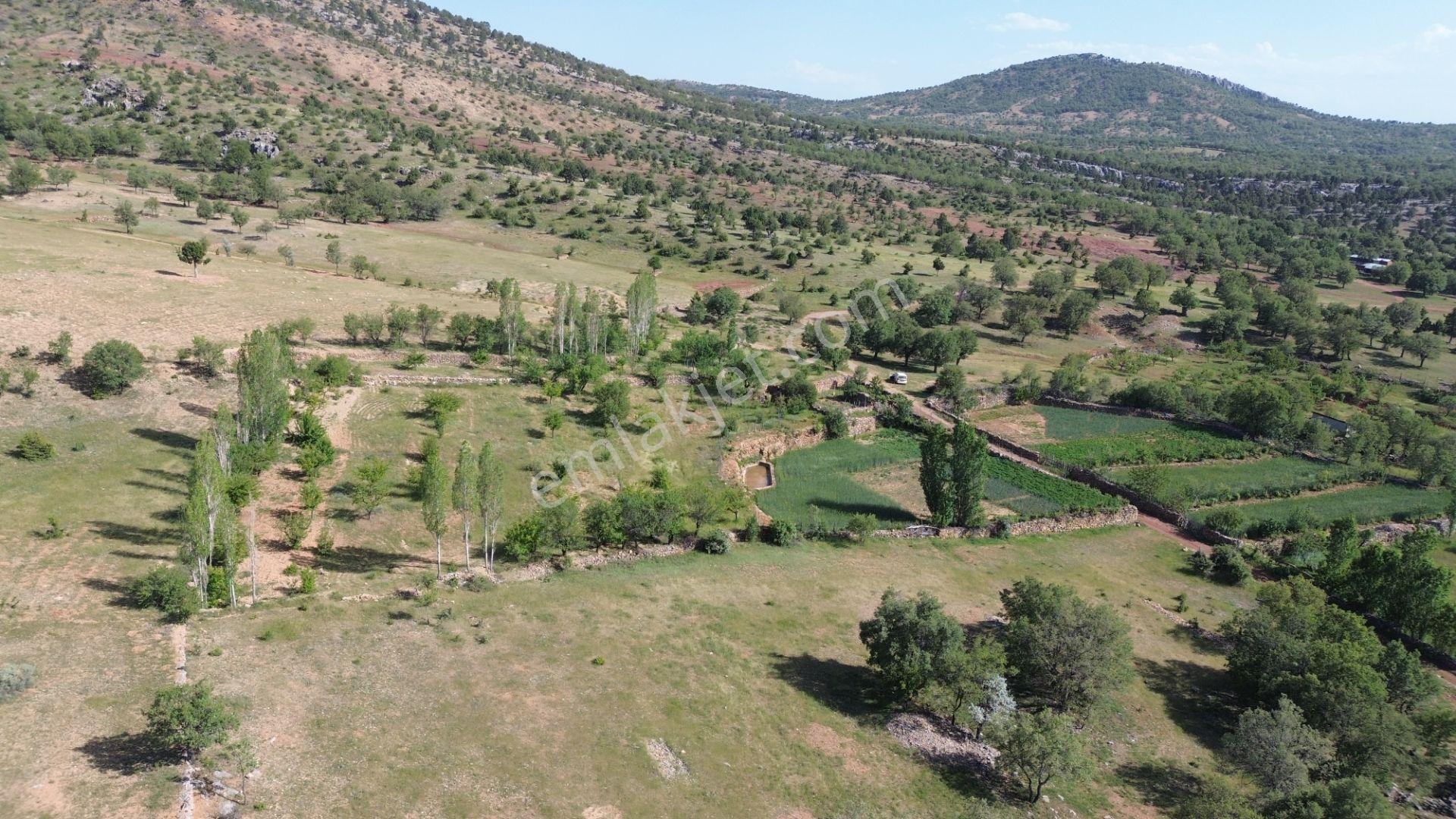 Bozkır Hacılar Da 323 M2 Müstakil Tapulu Bahçe - Görsel 16