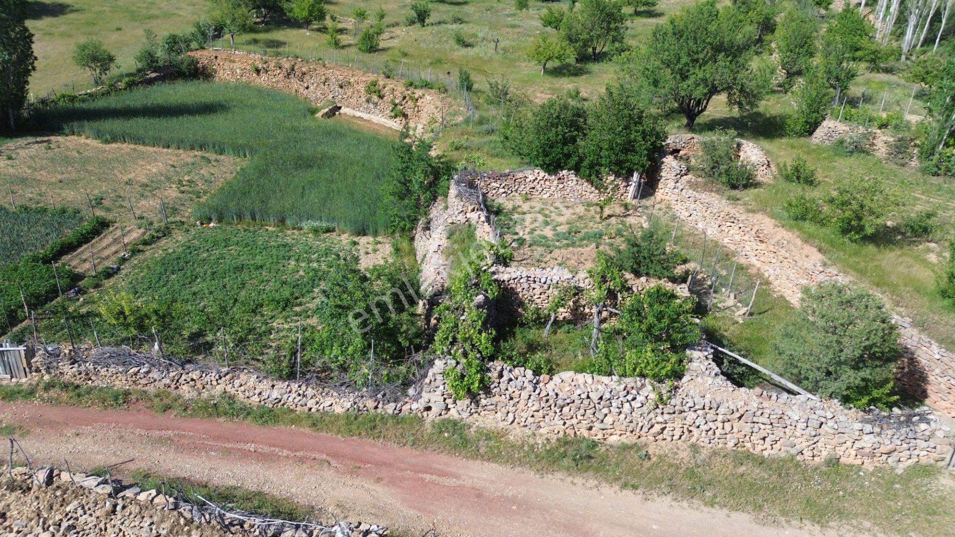 Bozkır Hacılar Da 323 M2 Müstakil Tapulu Bahçe - Görsel 5