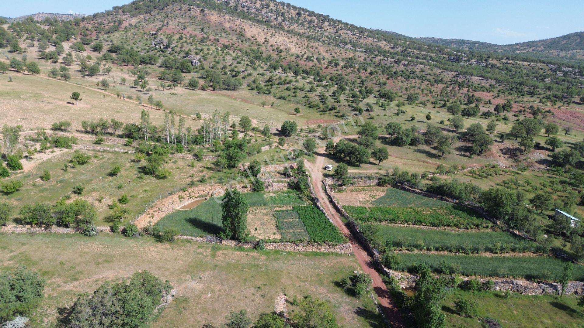Bozkır Hacılar Da 323 M2 Müstakil Tapulu Bahçe - Görsel 13