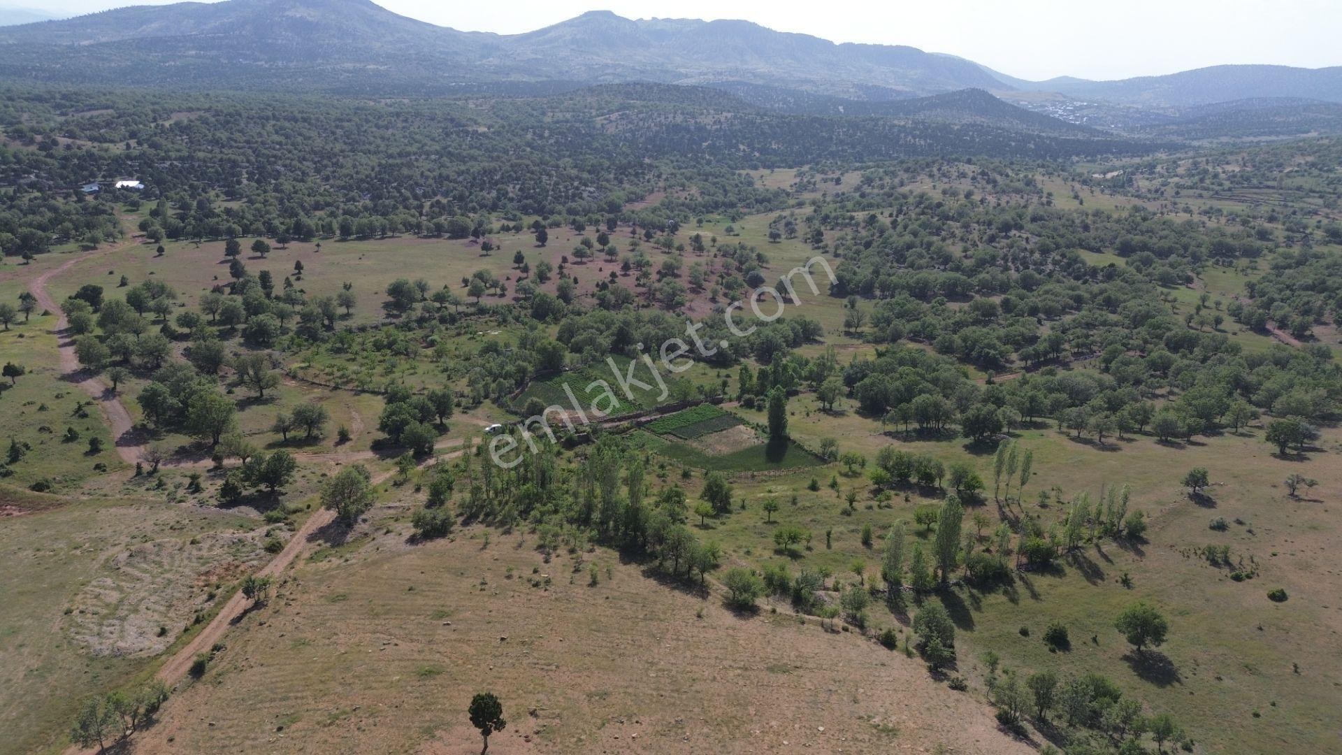 Bozkır Hacılar Da 323 M2 Müstakil Tapulu Bahçe - Görsel 25
