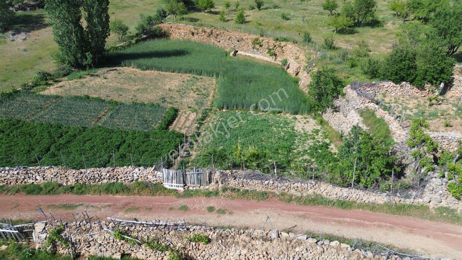 Bozkır Hacılar Da 323 M2 Müstakil Tapulu Bahçe - Görsel 6