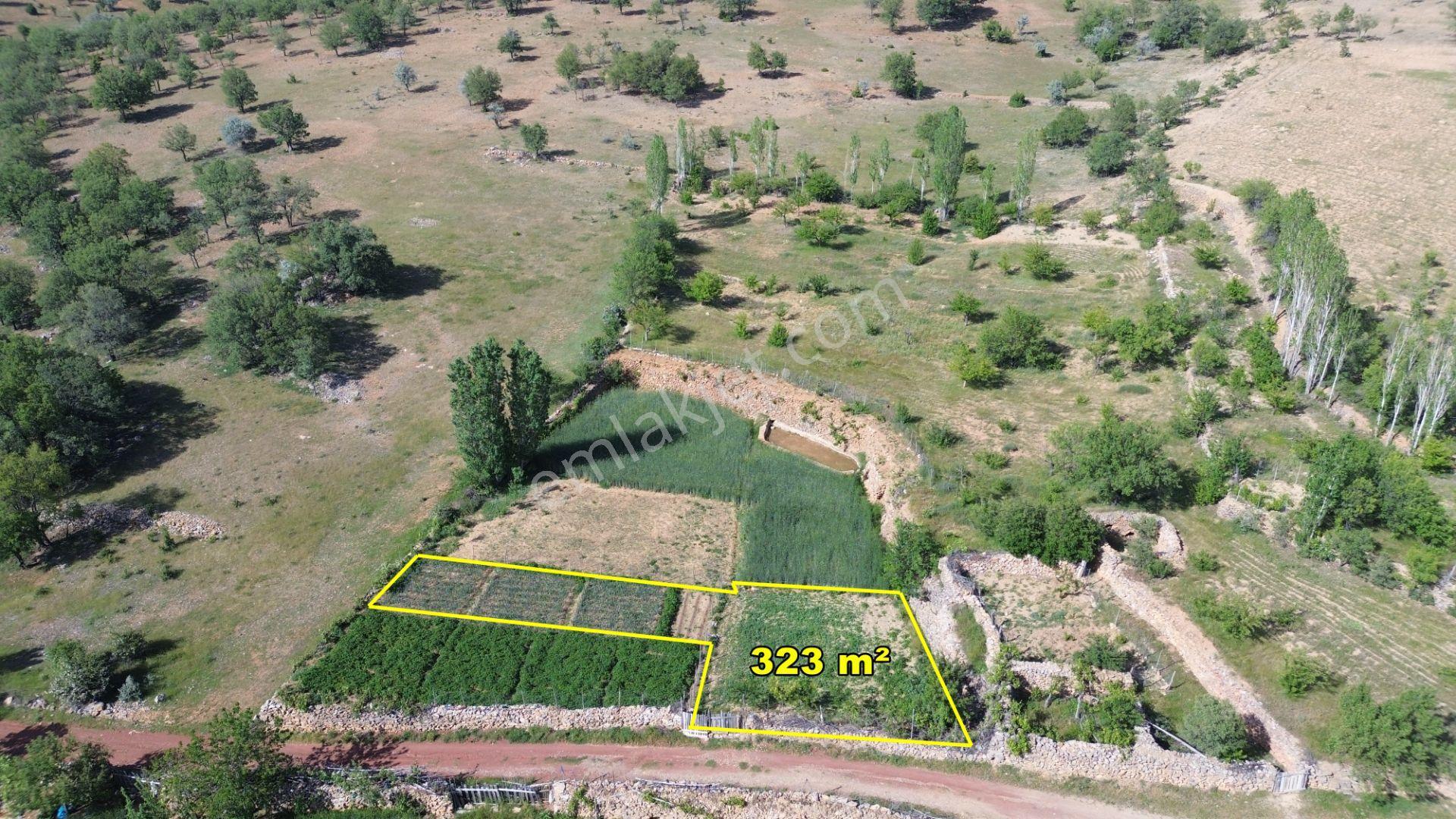 Bozkır Hacılar Da 323 M2 Müstakil Tapulu Bahçe - Görsel 2