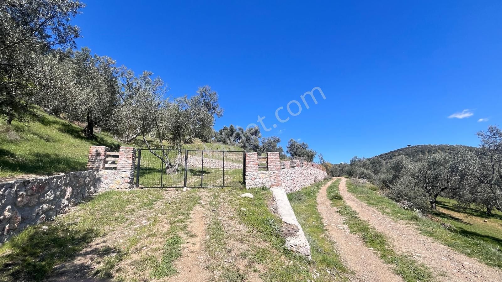 Başaran Emlak'tan Yaylaönün'de Efsane Zeytin Arazisi... - Görsel 7