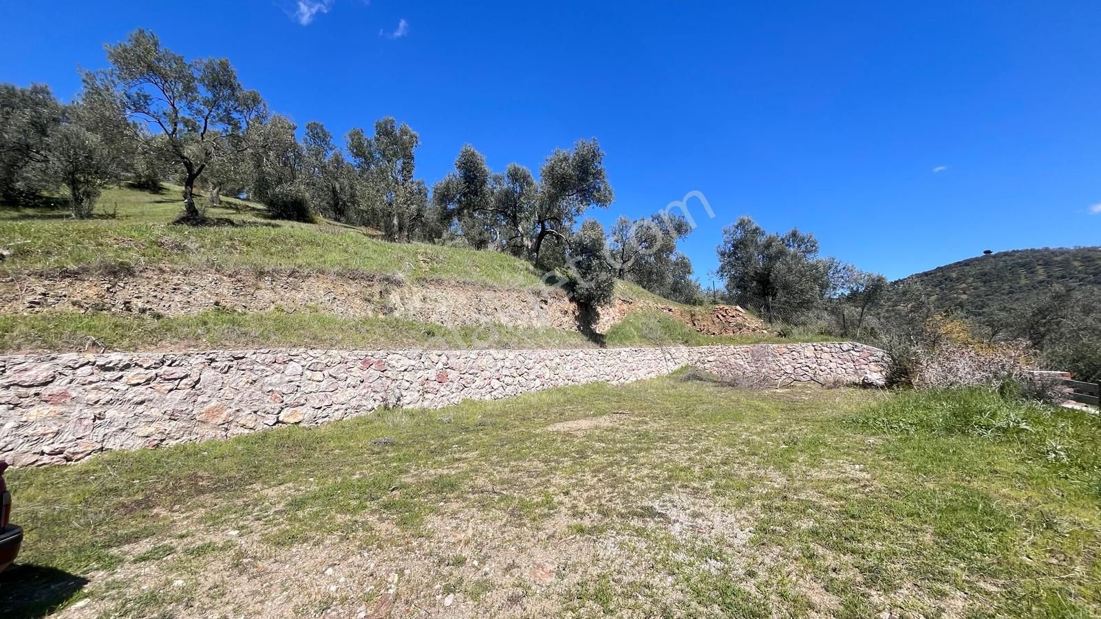 Başaran Emlak'tan Yaylaönün'de Efsane Zeytin Arazisi... - Görsel 6