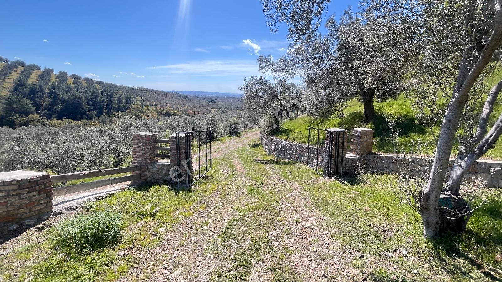 Başaran Emlak'tan Yaylaönün'de Efsane Zeytin Arazisi... - Görsel 12