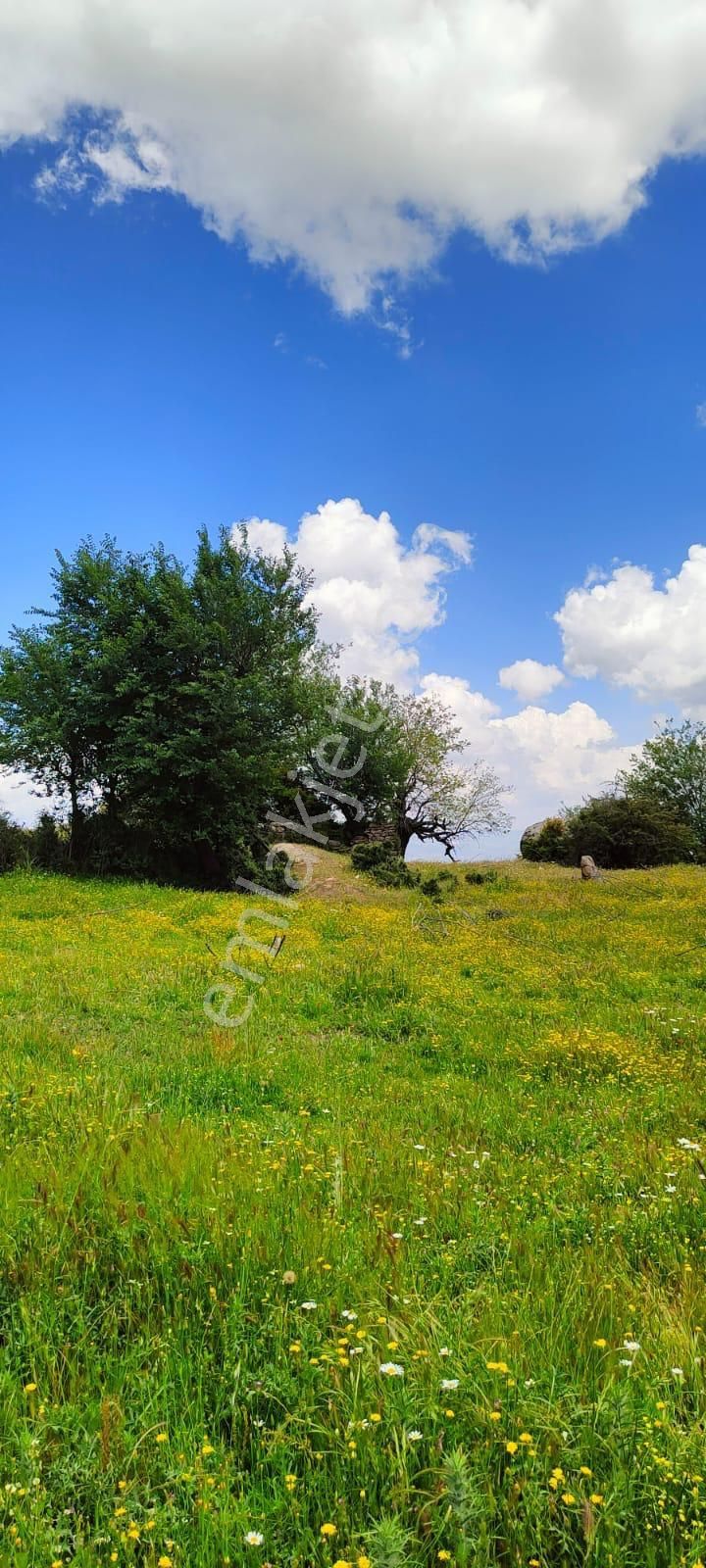 Aydın Çine Seferler Yatırımlık Arsa - Görsel 10