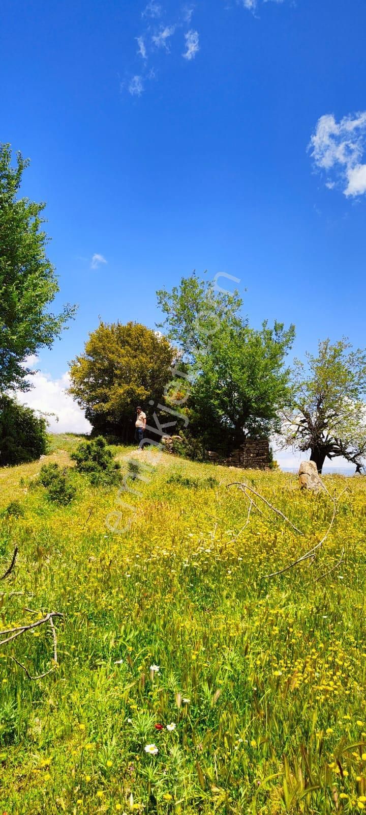Aydın Çine Seferler Yatırımlık Arsa
