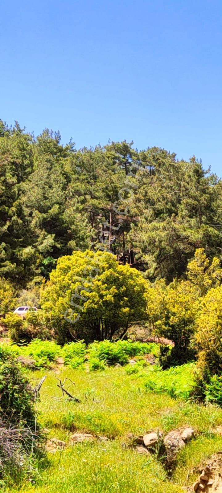 Aydın Çine Seferler Yatırımlık Arsa - Görsel 7