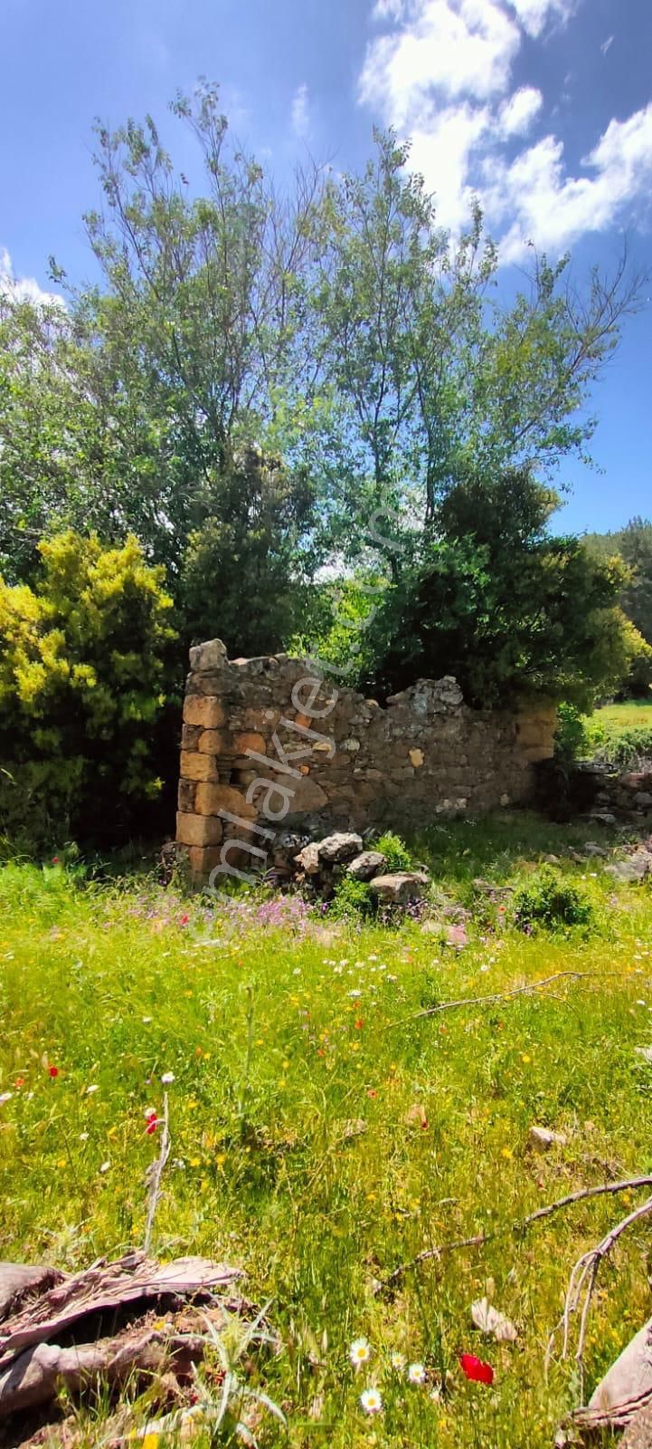 Aydın Çine Seferler Yatırımlık Arsa - Görsel 6