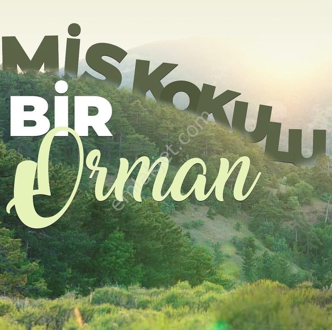 Termal Vadi Evlerinde 1+1 Ön Cepheli Kasım Ara Tatili - Görsel 25