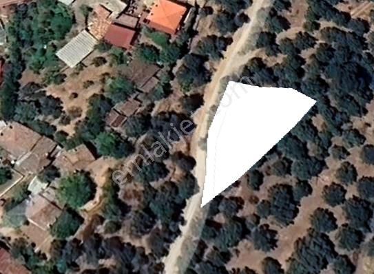Otobana Yakın Köyiçi İmarlı Bahçe 846 M2 Karacasu'da - Görsel 2