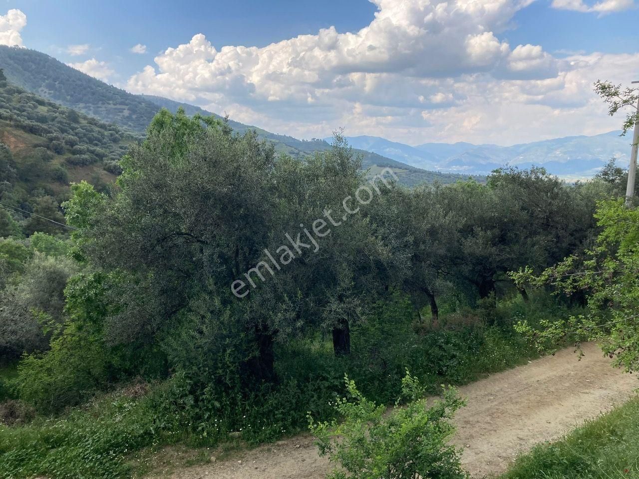 Otobana Yakın Köyiçi İmarlı Bahçe 846 M2 Karacasu'da