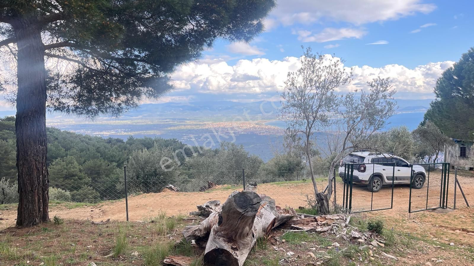 Başaran Emlak'tan Efsane Zeytin Arazisi... - Görsel 16