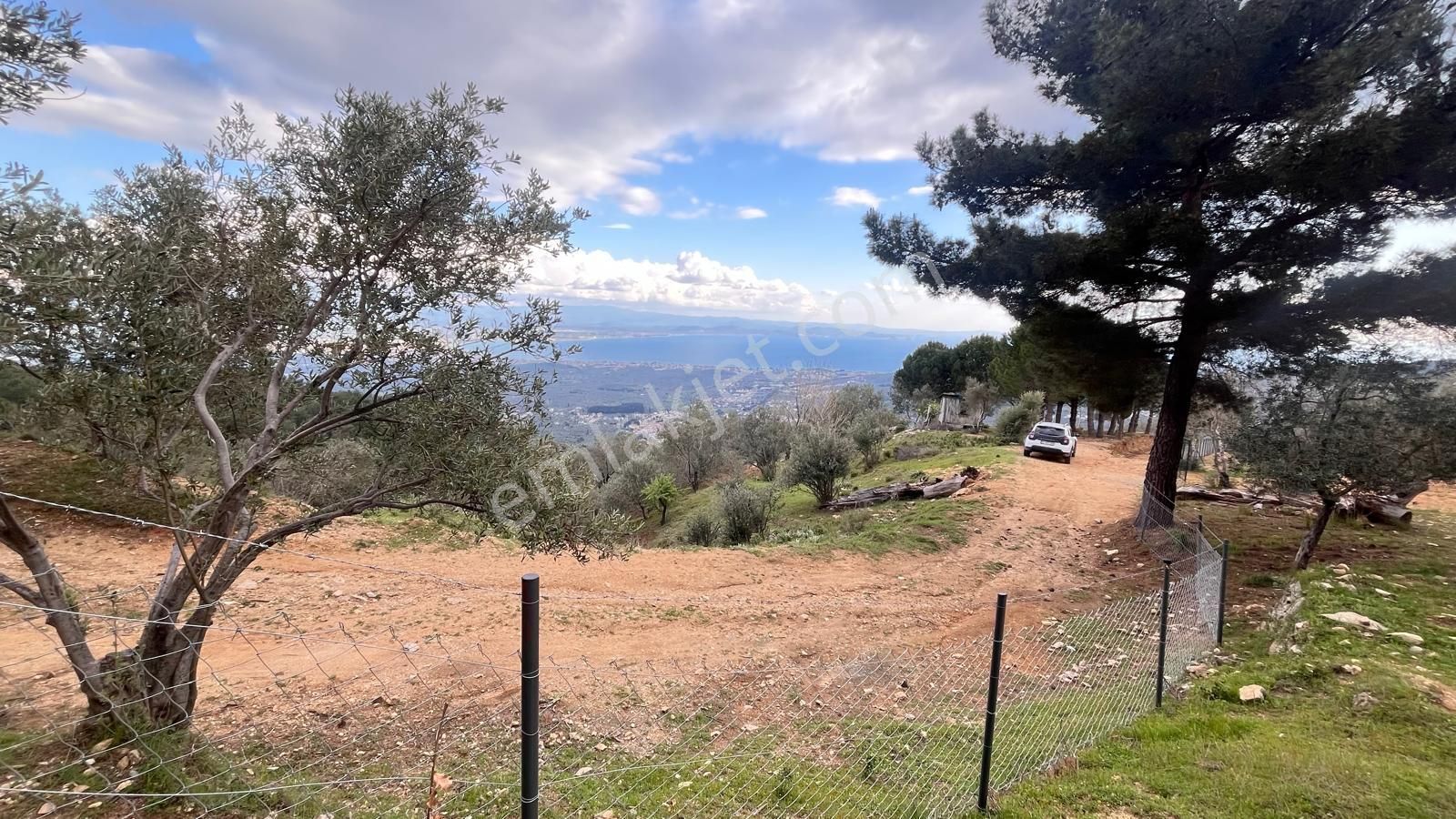Başaran Emlak'tan Efsane Zeytin Arazisi... - Görsel 5