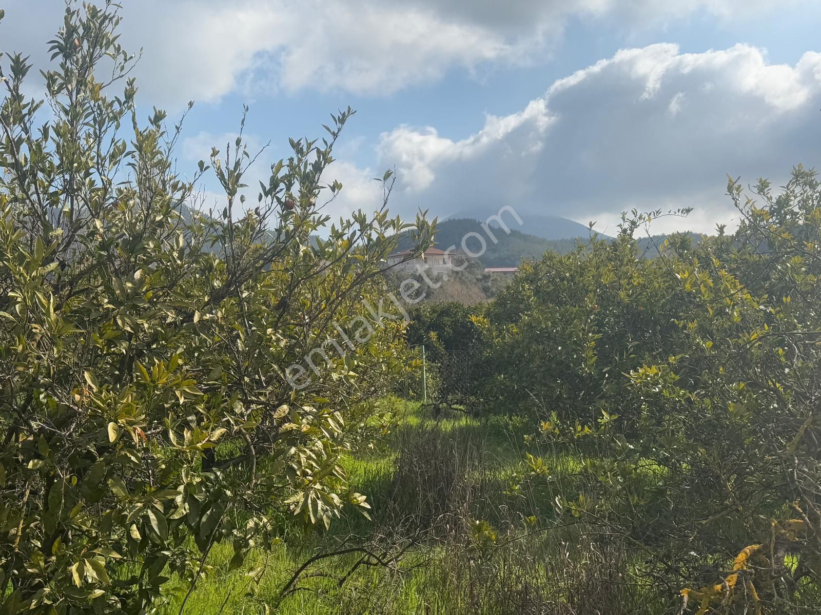 Seferihisar Kavakderede Satılık 288 M² Arsa Vasıflı - Görsel 22