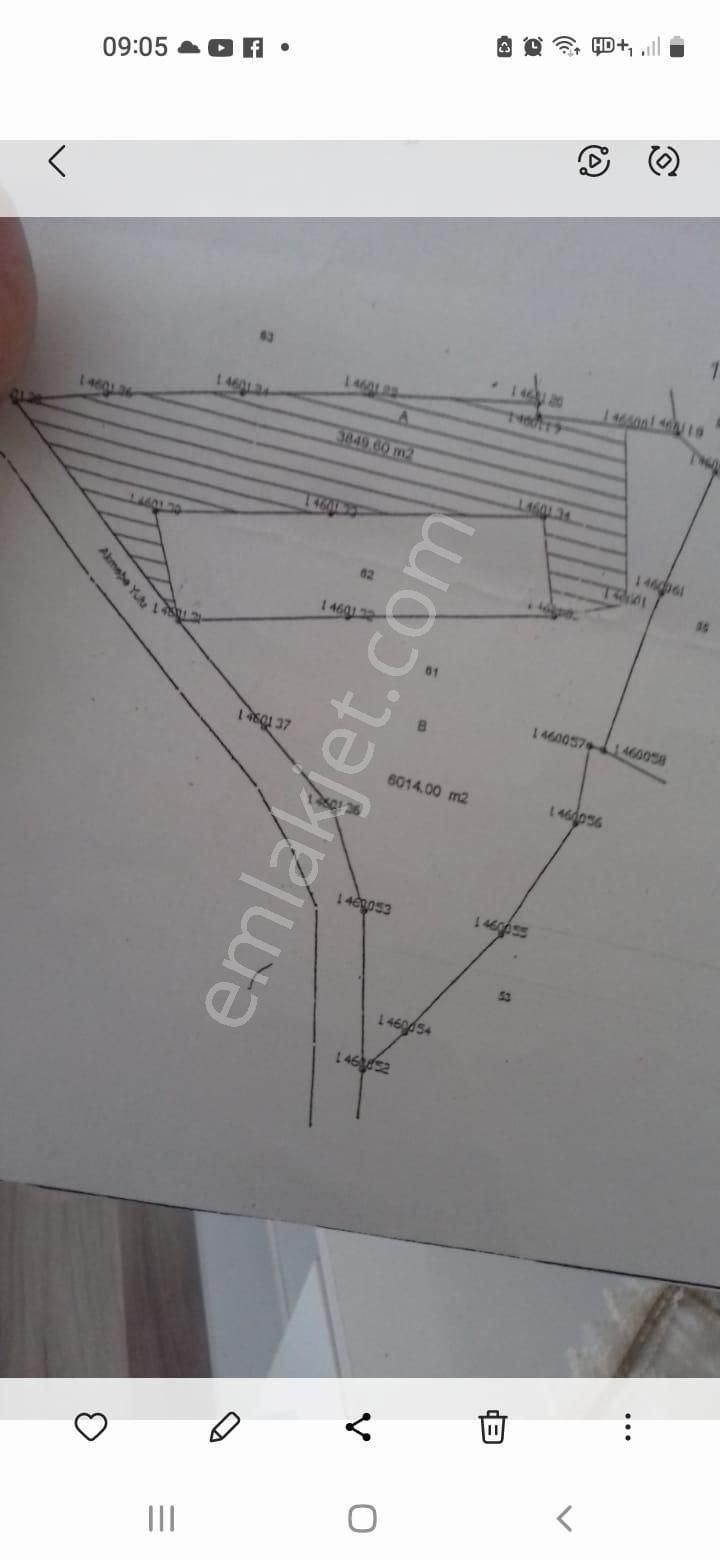 Altın Emlaktan Kandıra Sarıcaali De Mükemmel Tek Tapu Tarla - Görsel 10