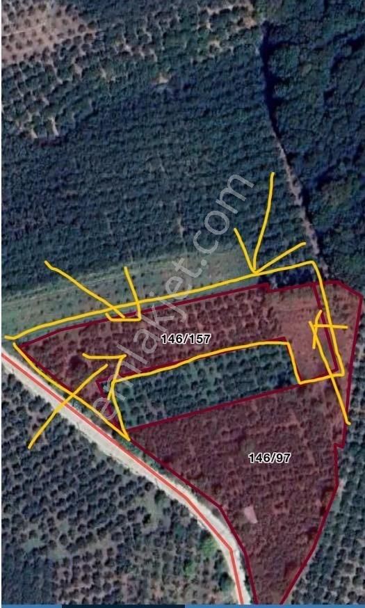 Altın Emlaktan Kandıra Sarıcaali De Mükemmel Tek Tapu Tarla